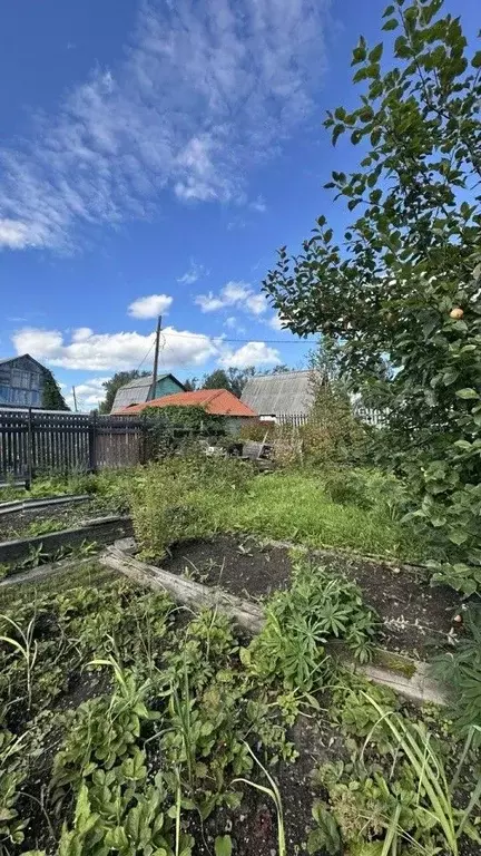 Участок в Свердловская область, Екатеринбург Вагонник СНТ, 47 (4.08 ... - Фото 1