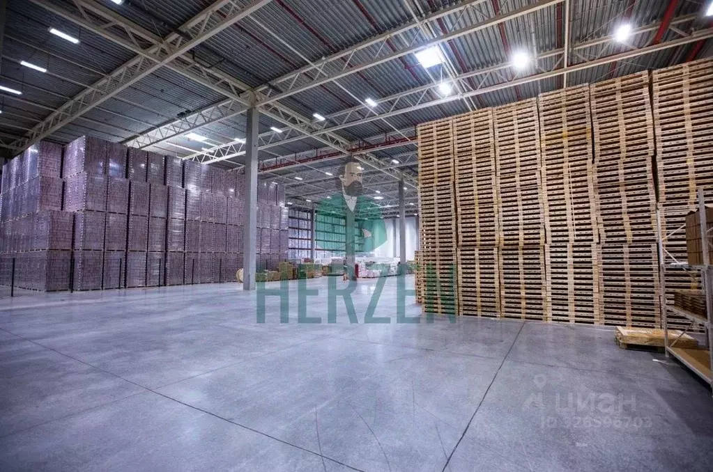 Склад в Московская область, Пушкино Ярославское ш., 228 (10000 м) - Фото 2