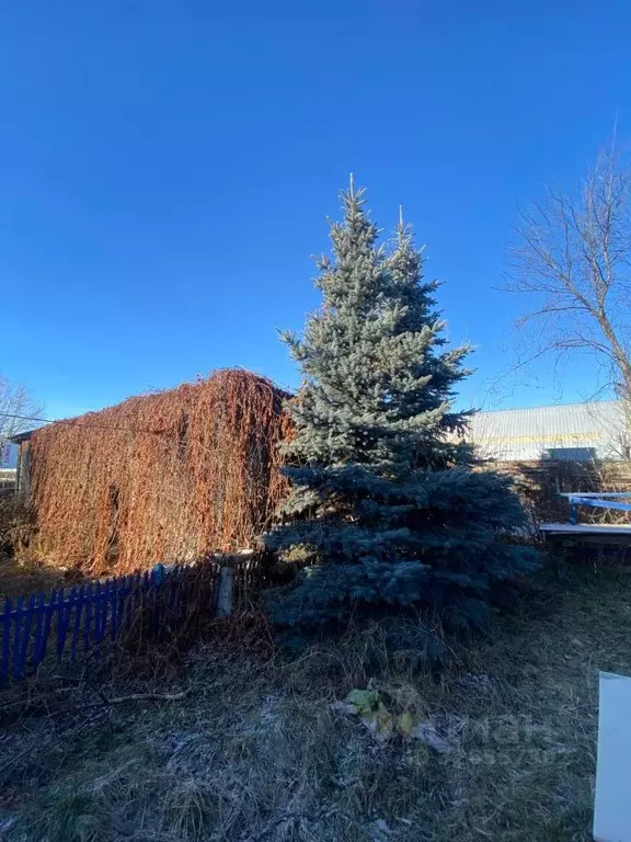 Дом в Свердловская область, Сысертский муниципальный округ, с. Патруши ... - Фото 2