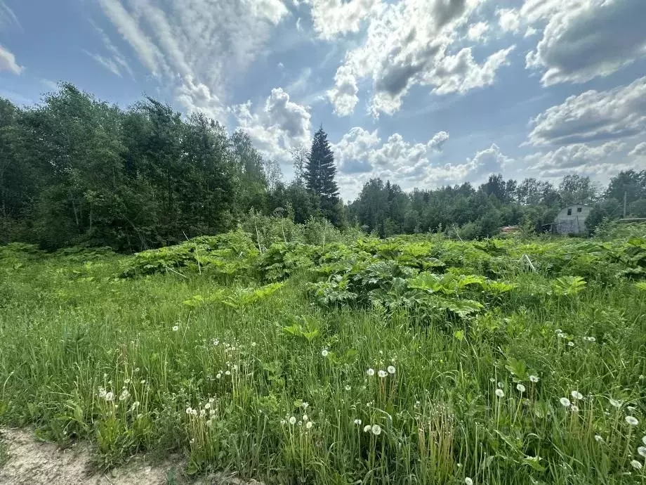 Участок в Пермский край, Березники ул. Павла Богословского (14.0 сот.) - Фото 1