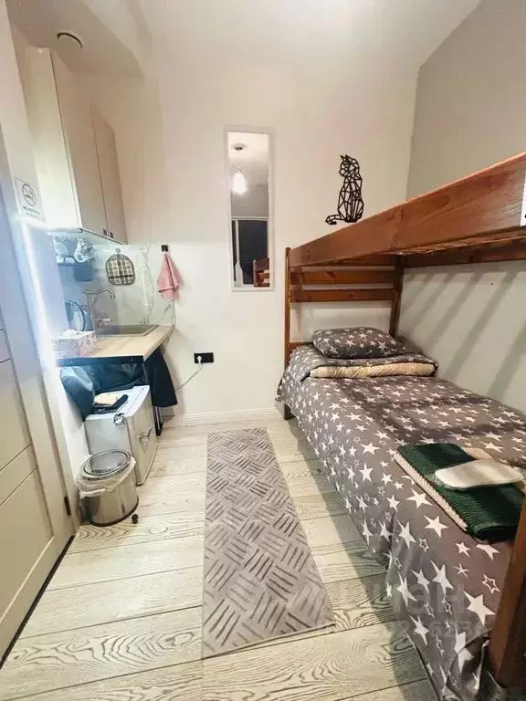 Студия Московская область, Истра ул. Ленина, 129 (15.0 м) - Фото 1