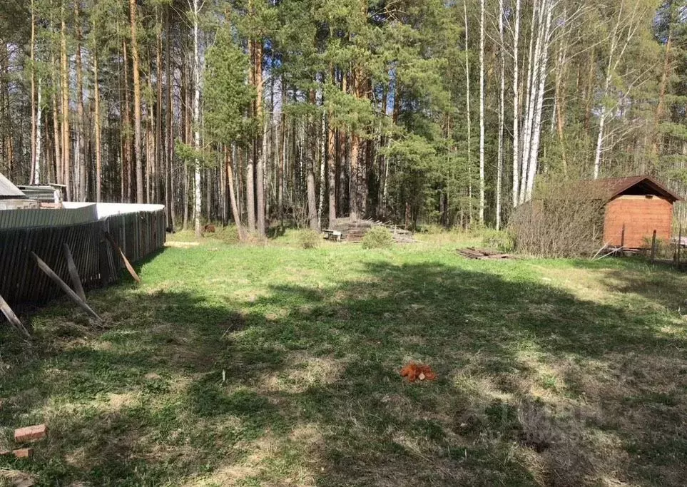 Участок в Новосибирская область, Искитимский район, с. Тальменка ул. ... - Фото 2