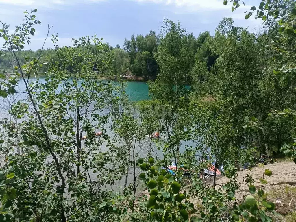 Участок в Тульская область, Узловский район, Смородинское ... - Фото 1