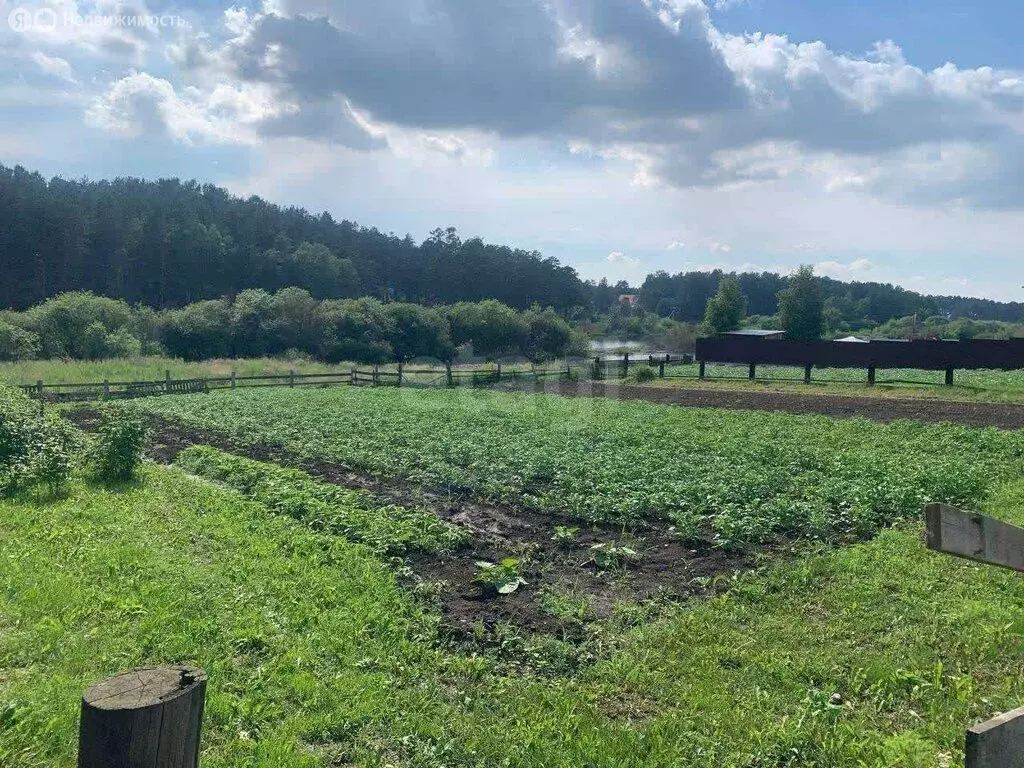 Участок в село Пивовариха, Набережная улица (7.61 м) - Фото 2