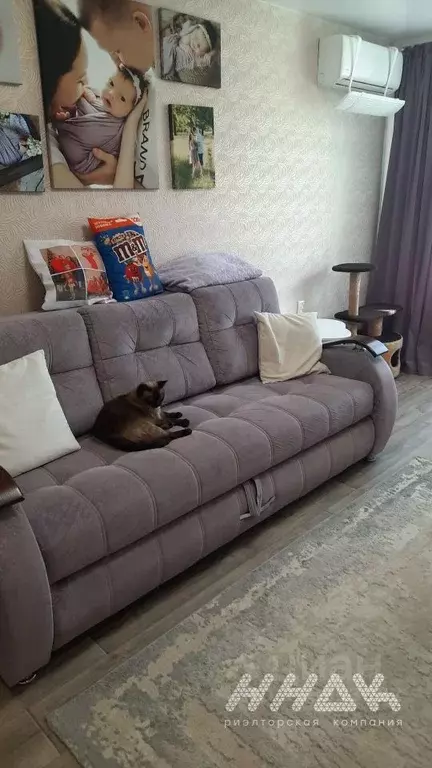 1-к кв. Нижегородская область, Дзержинск Новомосковская ул., 8 (31.0 ... - Фото 2