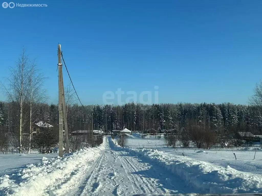 Участок в Колтушское городское поселение, коттеджный посёлок Хвойное ... - Фото 2