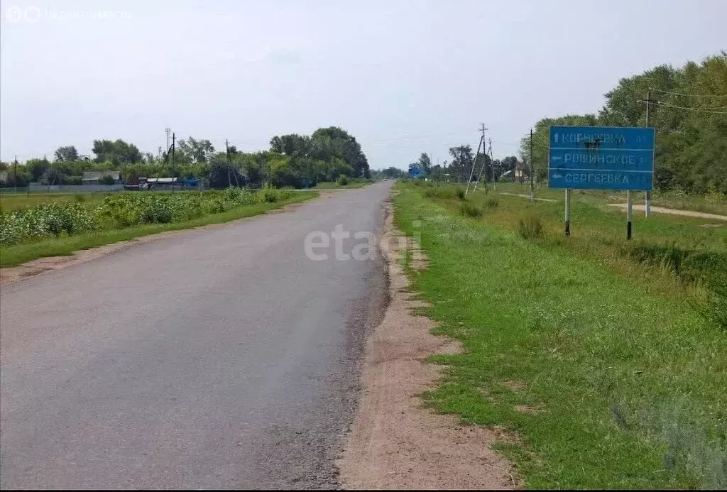 Корнеевка омская область. Корнеевка омская область. Корнеевка омская область. Алексеевка москаленки омская область. Фото белый гриб 2д.