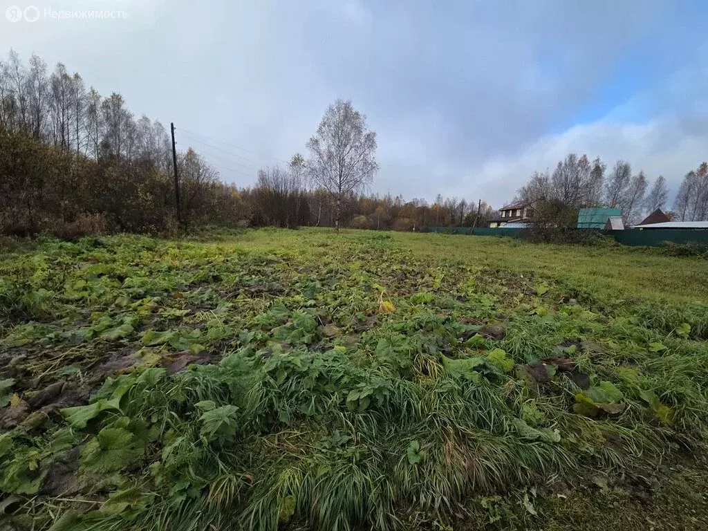 Участок в Тверская область, Калязинский муниципальный округ, деревня ... - Фото 2