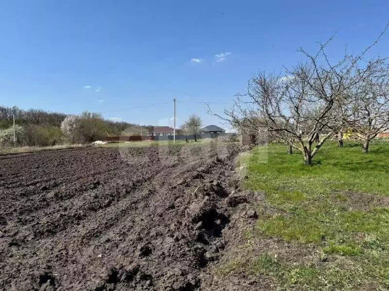 Участок в Белгородская область, Белгородский муниципальный округ, ... - Фото 1