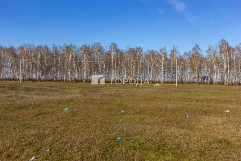 Участок в Новосибирская область, Новосибирский район, Криводановский ... - Фото 0