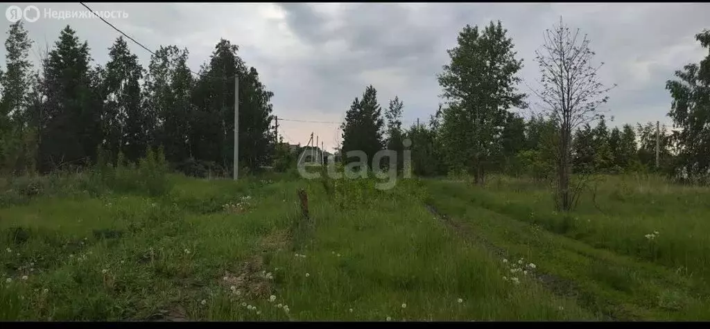 Участок в Воронеж, СНТ Шинник-1 (0.1 м) - Фото 0