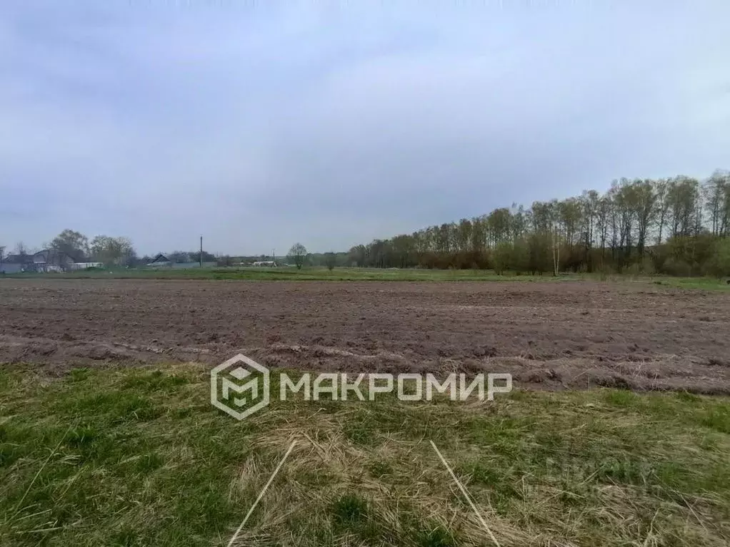 Участок в Брянская область, Дятьковский район, Любохна рп ул. Фокина ... - Фото 2