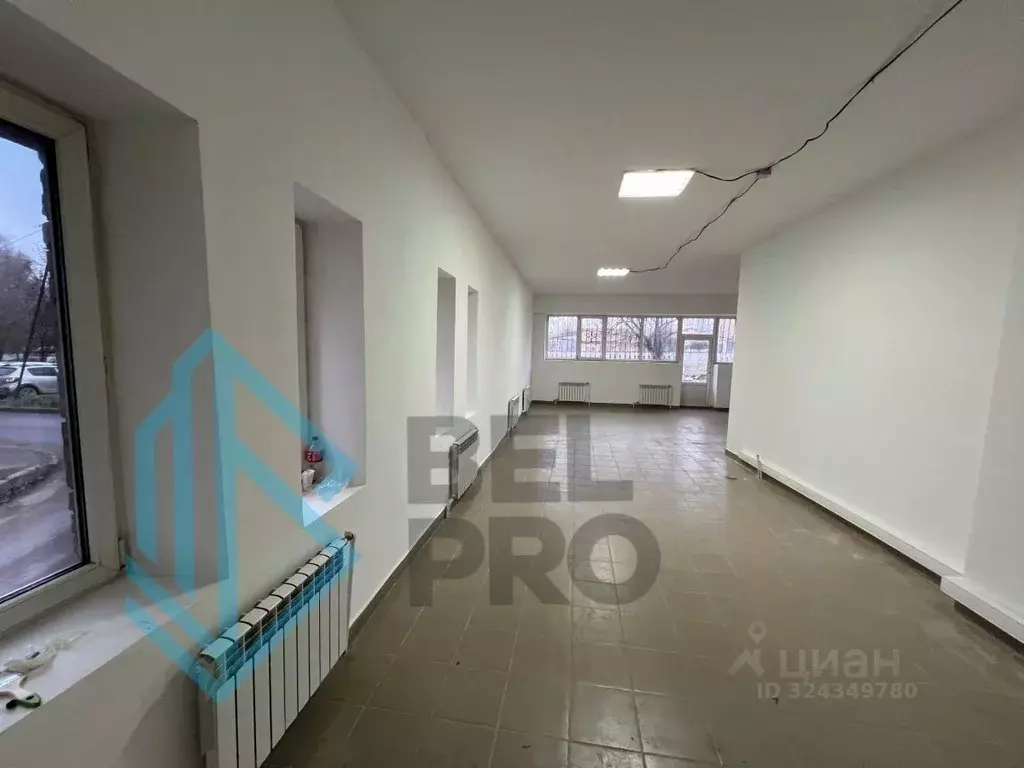 Торговая площадь в Московская область, Воскресенск Новлянский мкр, ул. ... - Фото 2