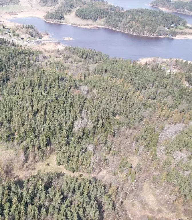 Участок в Карелия, Лахденпохский муниципальный округ, пос. Куркиеки, ... - Фото 1