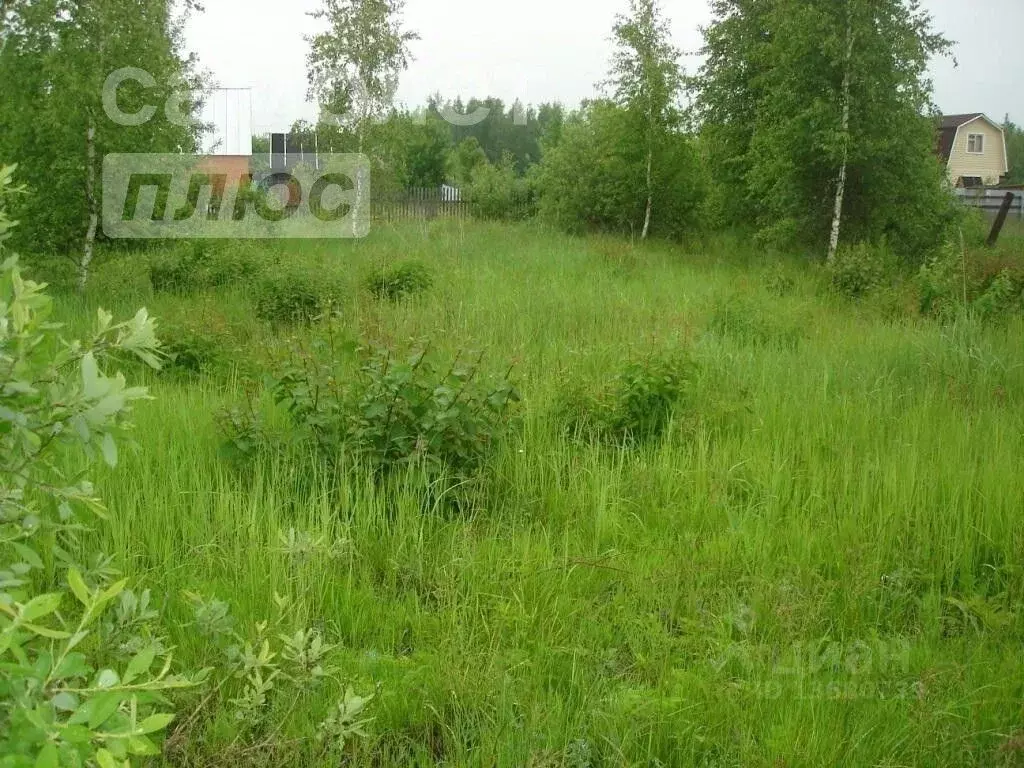 Участок в Башкортостан, Куюргазинский район, с. Ермолаево ул. Мичурина ... - Фото 1