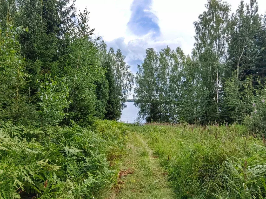 Участок в Тверская область, Кашинский муниципальный округ, д. ... - Фото 2