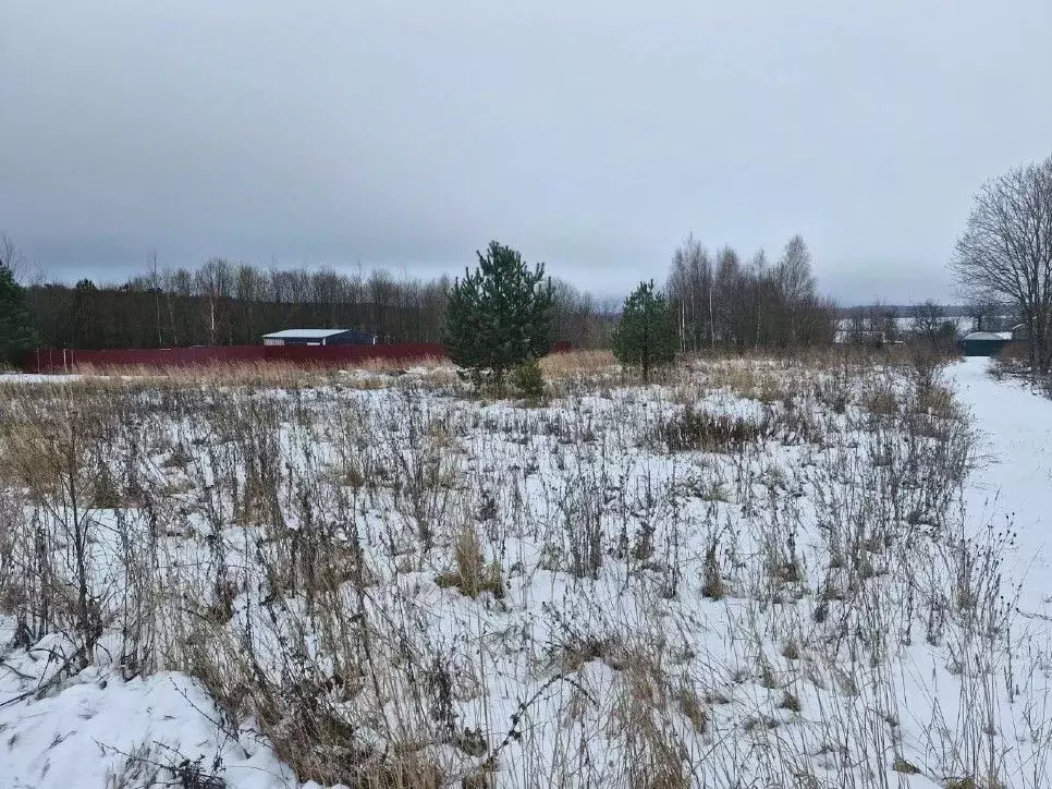 Участок в Московская область, Ступино городской округ, с. Хонятино ул. ... - Фото 0