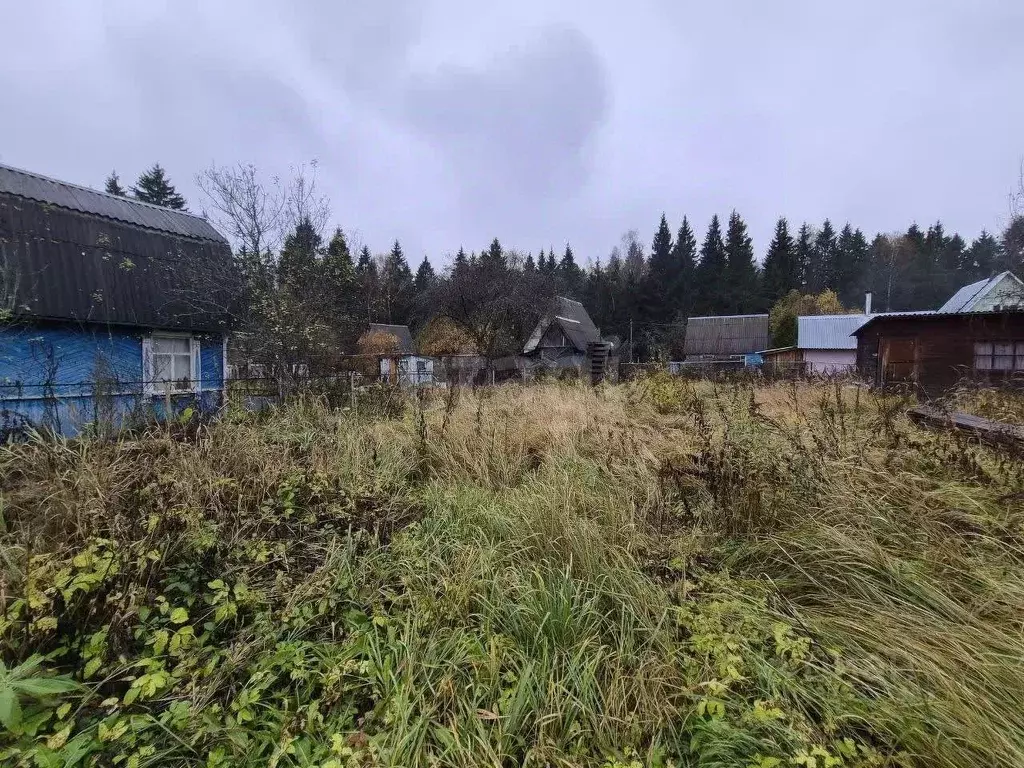 Участок в Калужская область, Малоярославец Автомагистраль СНТ, 40 (4.0 ... - Фото 2