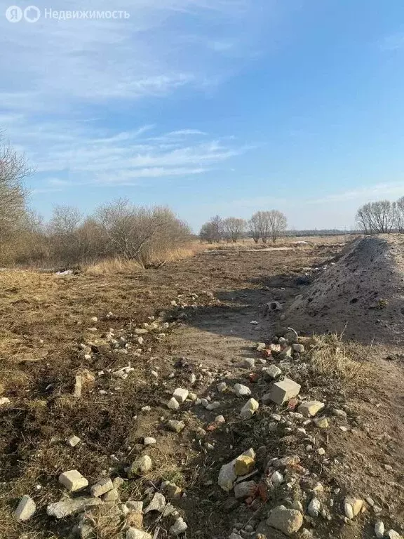 Участок в Калининградская область, Зеленоградский муниципальный округ, ... - Фото 1