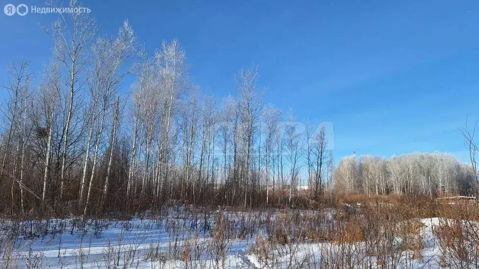 Участок в Тюменский район, посёлок городского типа Богандинский (17.5 ... - Фото 0