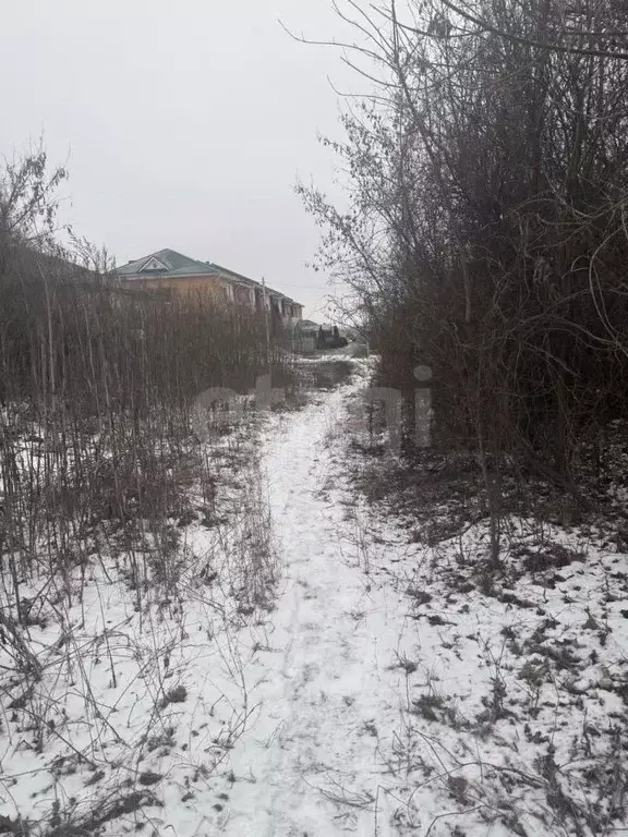 Участок в Белгородская область, Губкин Горняк-Мичуринец СТ, 11 (6.0 ... - Фото 1