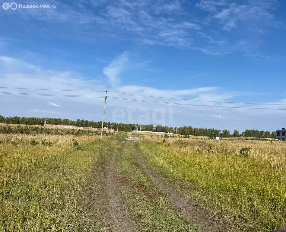 Участок в Луговое, Троицкая улица (15 м) - Фото 1