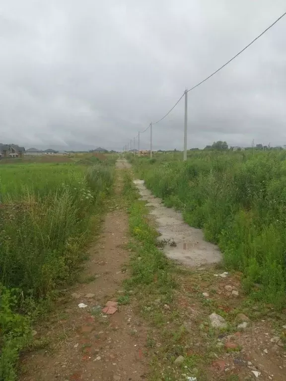 Участок в Калининградская область, Гурьевский муниципальный округ, ... - Фото 1