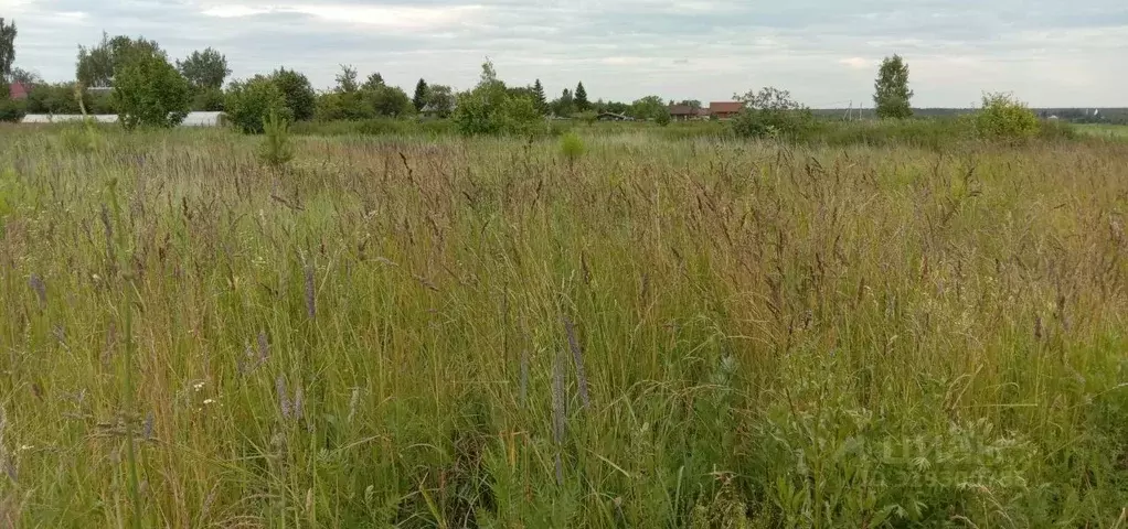 Участок в Владимирская область, Суздальский район, Селецкое ... - Фото 1