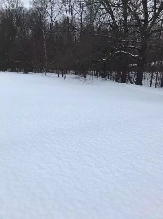 Участок в Московская область, городской округ Ступино, деревня ... - Фото 2