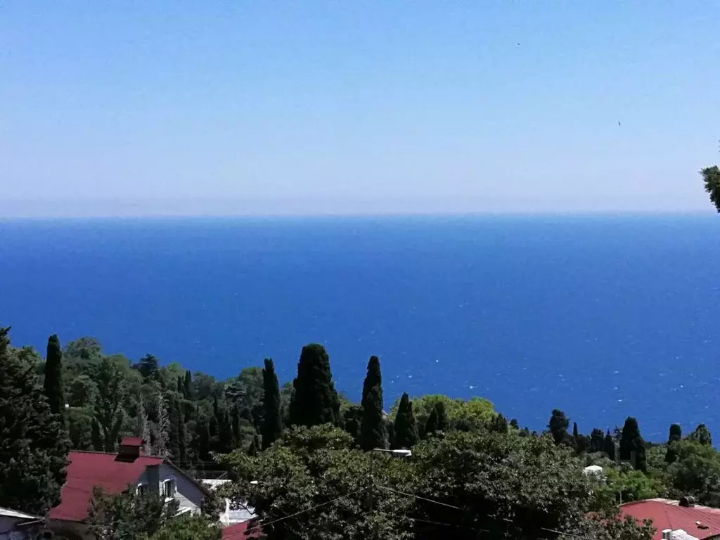 Студия Крым, Алупка ул. Имени Братьев Говыриных, 20 (41.0 м) - Фото 1