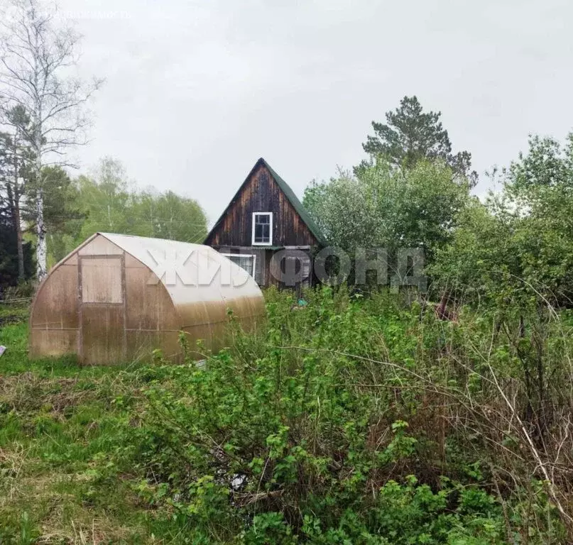 Участок в Новосибирск, улица Тургенева, 164 (4 м) - Фото 1