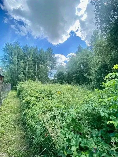 Участок в Московская область, Ступино городской округ, Сотниковское ... - Фото 0