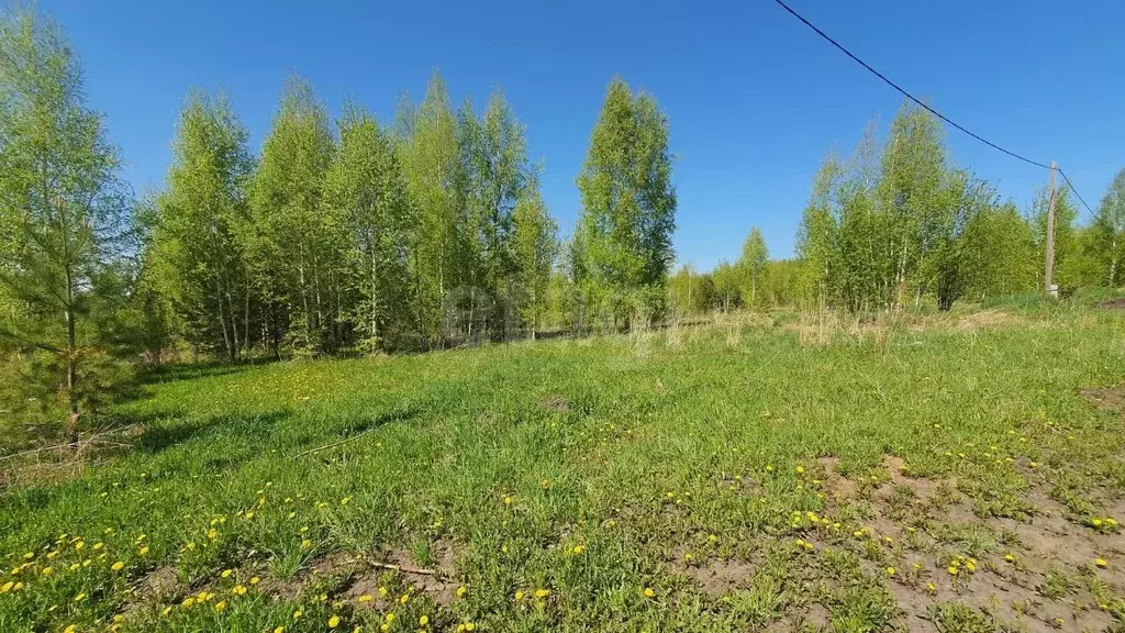 Участок в Кемеровская область, Кемеровский район, д. Солонечная, ... - Фото 0