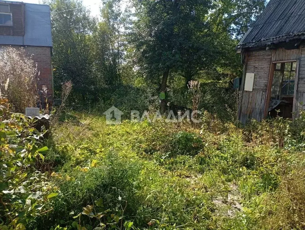 Участок в Московская область, Домодедово Березка СНТ, ул. Никитинская, ... - Фото 2