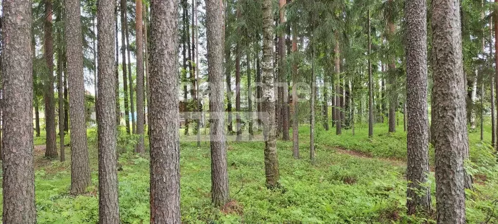Участок в Коми, Сыктывкар городской округ, Краснозатонский пгт ул. ... - Фото 0