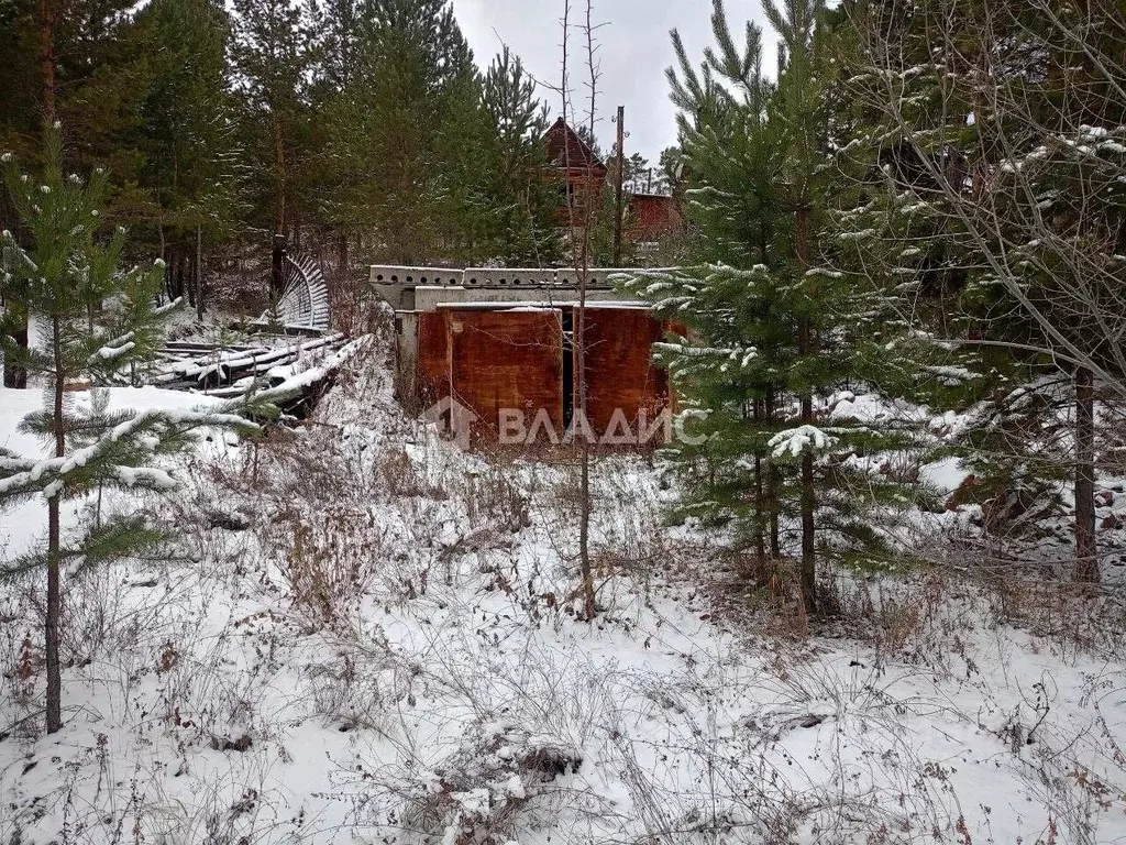 Участок в Бурятия, Улан-Удэ Багульник СНТ,  (5.3 сот.) - Фото 1