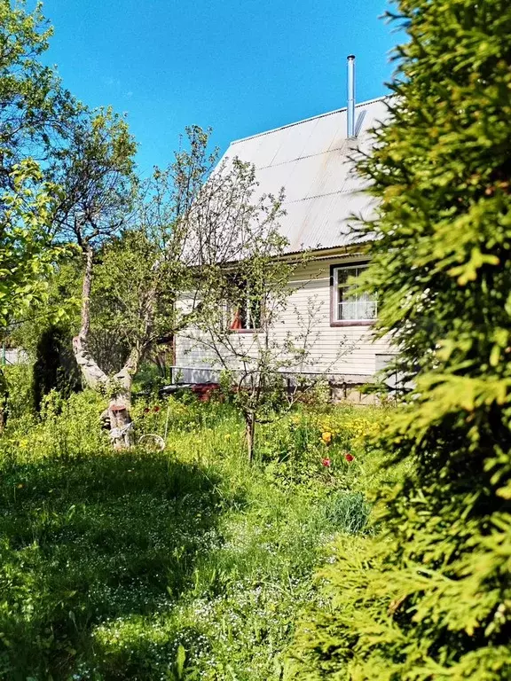 Дом 67,9 м на участке 6 сот. - Фото 1