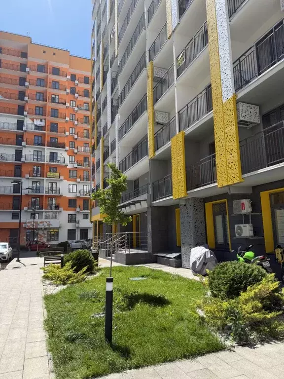 Студия Краснодарский край, Сочи ул. Искры, 88к3 (25.6 м) - Фото 2