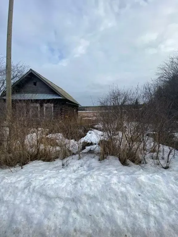 Участок в Свердловская область, Богданович городской округ, д. Чудова ... - Фото 0