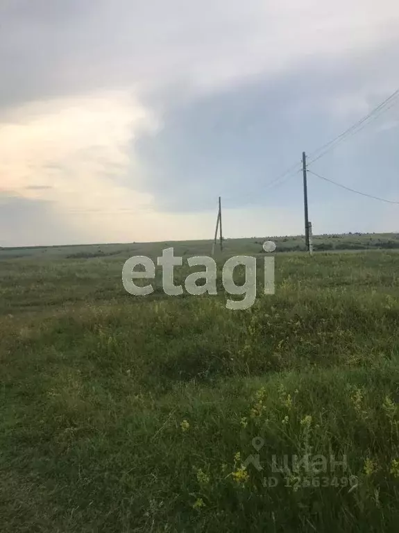 Участок в Воронежская область, Хохольский район, с. Костенки ул. ... - Фото 1