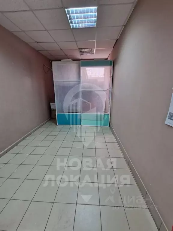 Торговая площадь в Омская область, Омск ул. Ядринцева, 24 (20 м) - Фото 2