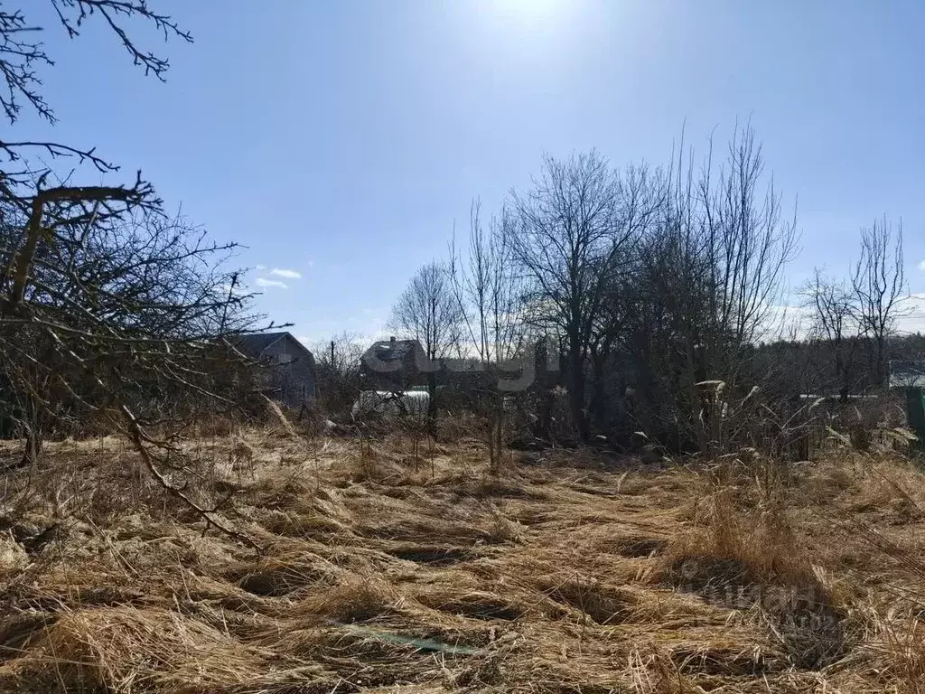 Участок в Смоленская область, Смоленск Черничный сад СНТ, ул. 4-я ... - Фото 1