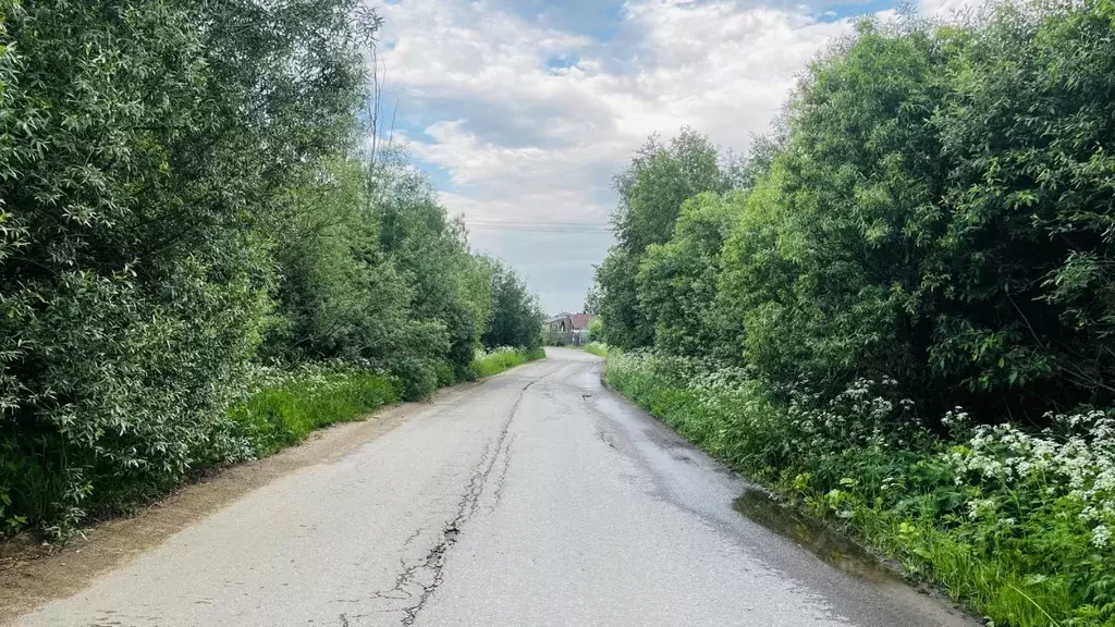 Участок в Московская область, Пушкинский городской округ, д. Алешино ... - Фото 2