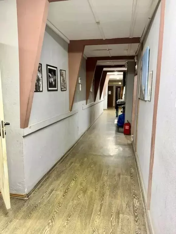 Помещение свободного назначения в Москва Братеевская ул., 18К3 (235 м) - Фото 2