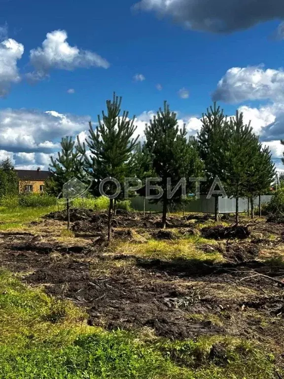Участок в Тюменская область, Тюменский район, Княжево-2 кп  (6.0 сот.) - Фото 0