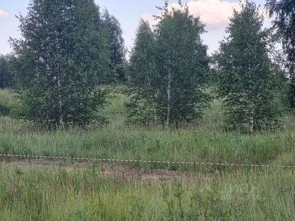 Участок в Челябинская область, Копейск Свердловская ул. (12.0 сот.) - Фото 1