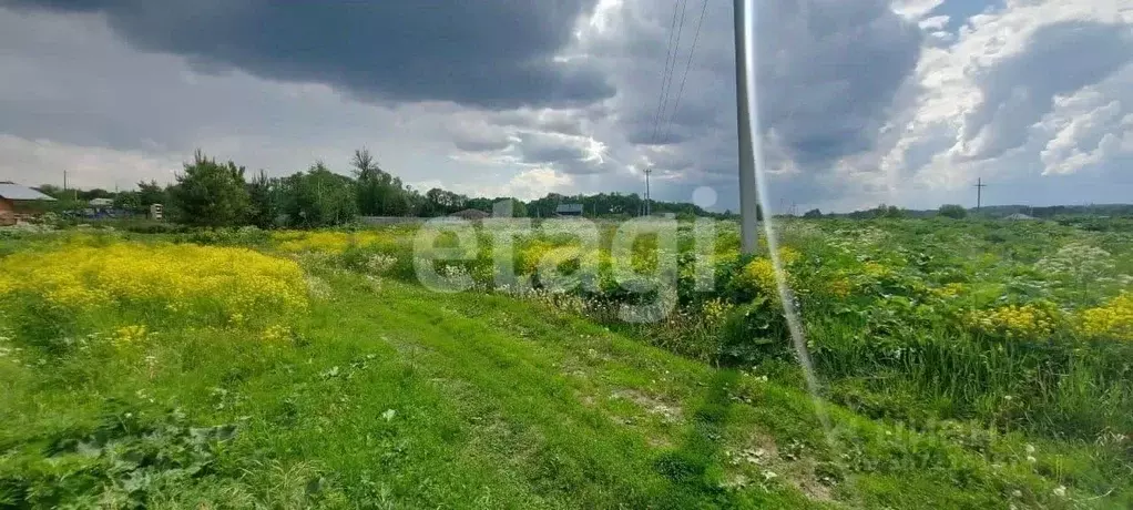 участок в тульская область, тула муниципальное образование, д. новая . - Фото 1