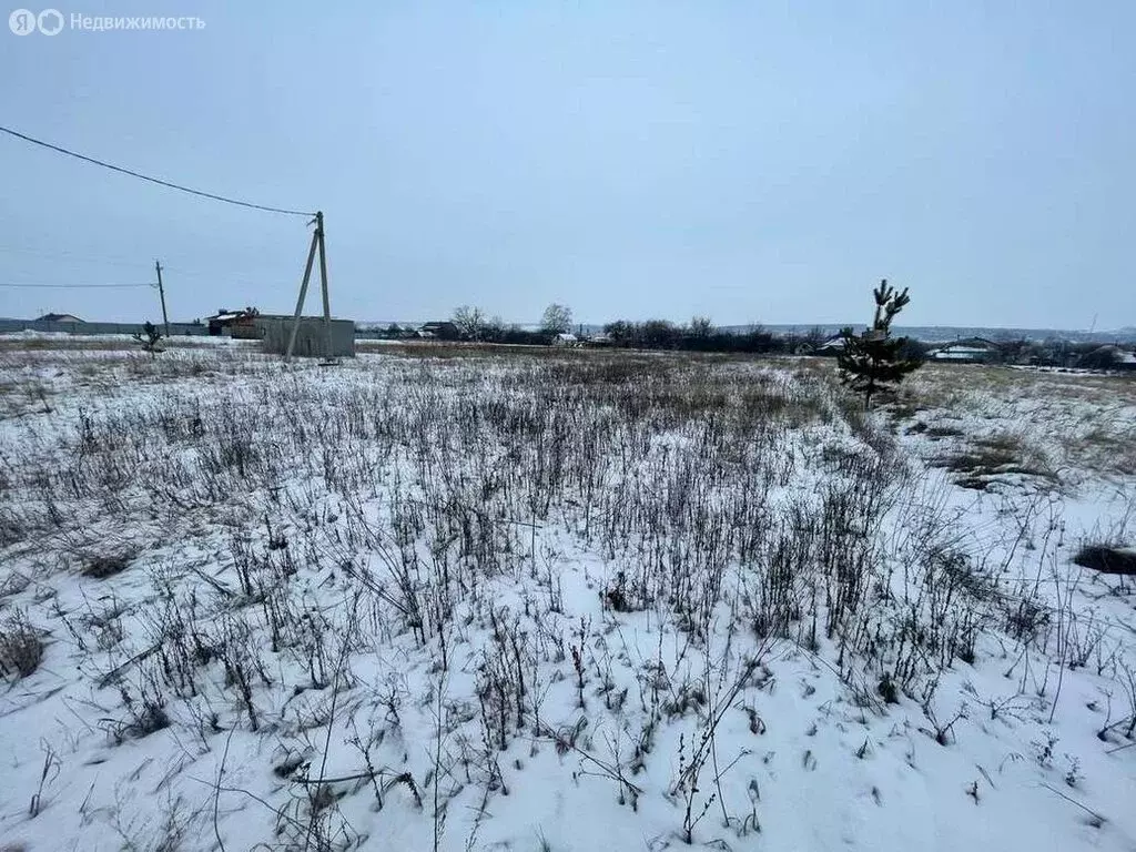 Участок в Рамонский район, Новоживотинновское сельское поселение, ... - Фото 0