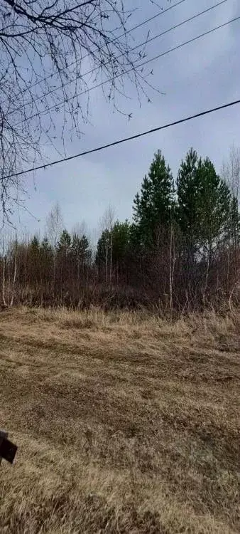 Участок в Иркутская область, Усолье-Сибирское  (10.0 сот.) - Фото 0