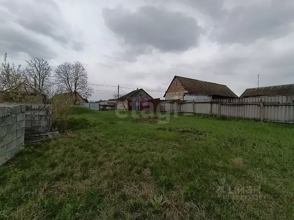 Участок в Белгородская область, Чернянский район, Русскохаланское ... - Фото 2